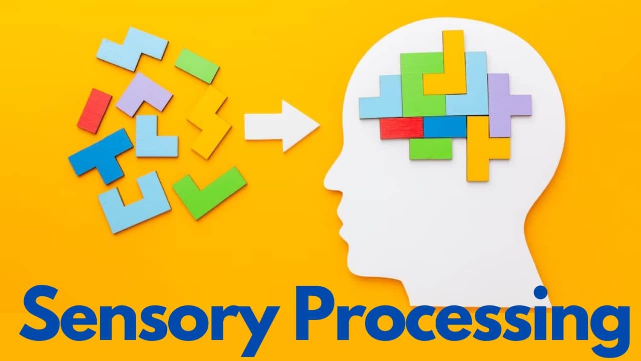 You are currently viewing Understanding Sensory Processing in Autism: Insights and Strategies